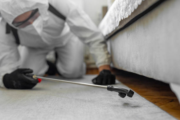 Professional Cockroach Control technician working in Thompson, ND