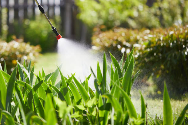 24/7 Emergency Cockroach Control experts in Thompson, ND